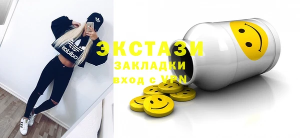 ECSTASY Алзамай