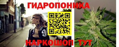 соль ск Новозыбков