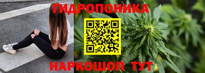 амф Новокубанск