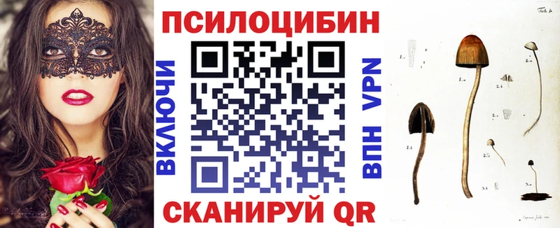 наркота  Усинск  Псилоцибиновые грибы Psilocybine cubensis 