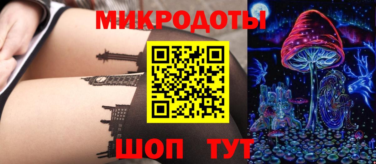 Галлюциногенные грибы Psilocybine cubensis Усинск